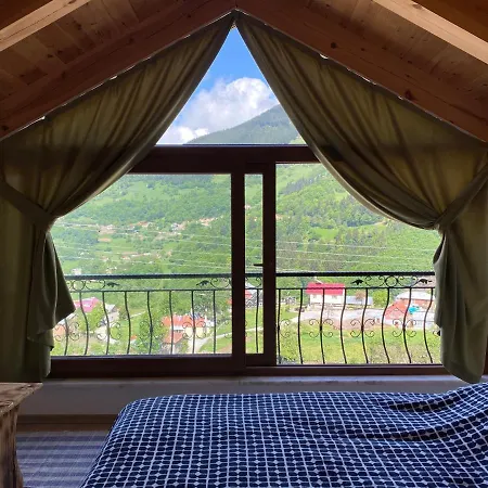 Hotel Hamsikoy Tas *