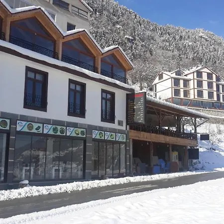 Hamsiköy Taş Trabzon
