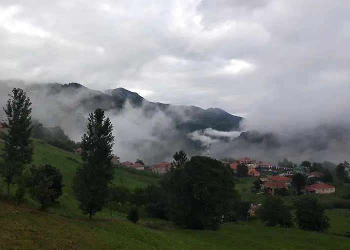 Hotel Hamsikoy Tas *