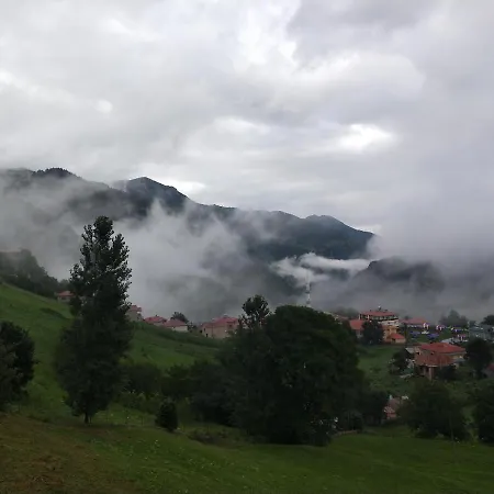 Hotel Hamsikoy Tas *